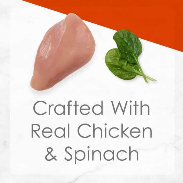 Shredded White Meat Chicken Wet Cat Food N4842