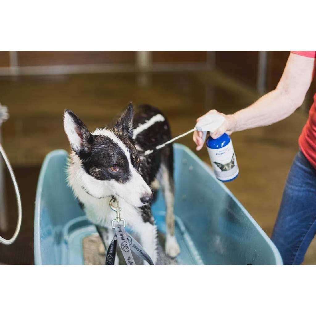 Medicated Pet Shampoo Y428