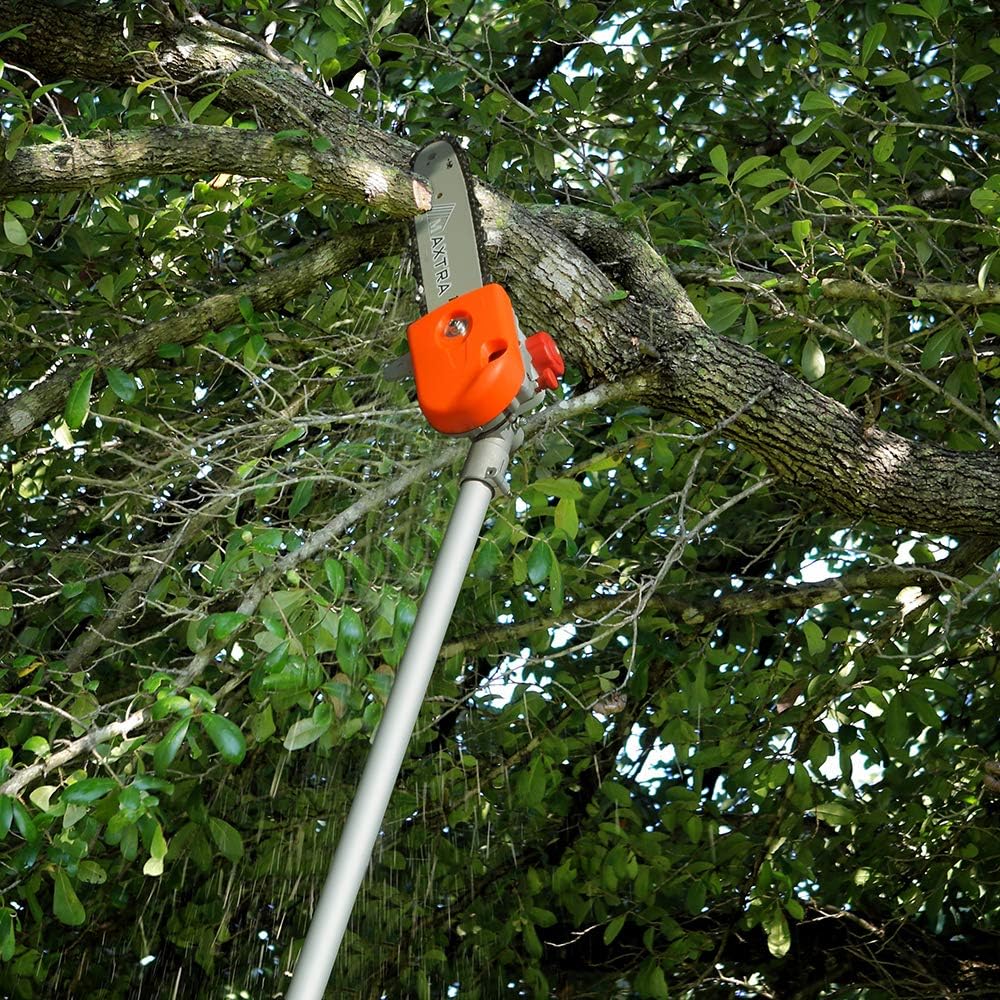 10 inch Gas Cordless Pole Saw with 3.6ft Extension D95885