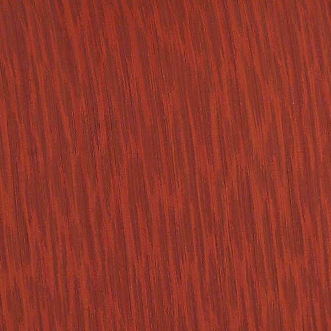 Orange Accent Chair L61197