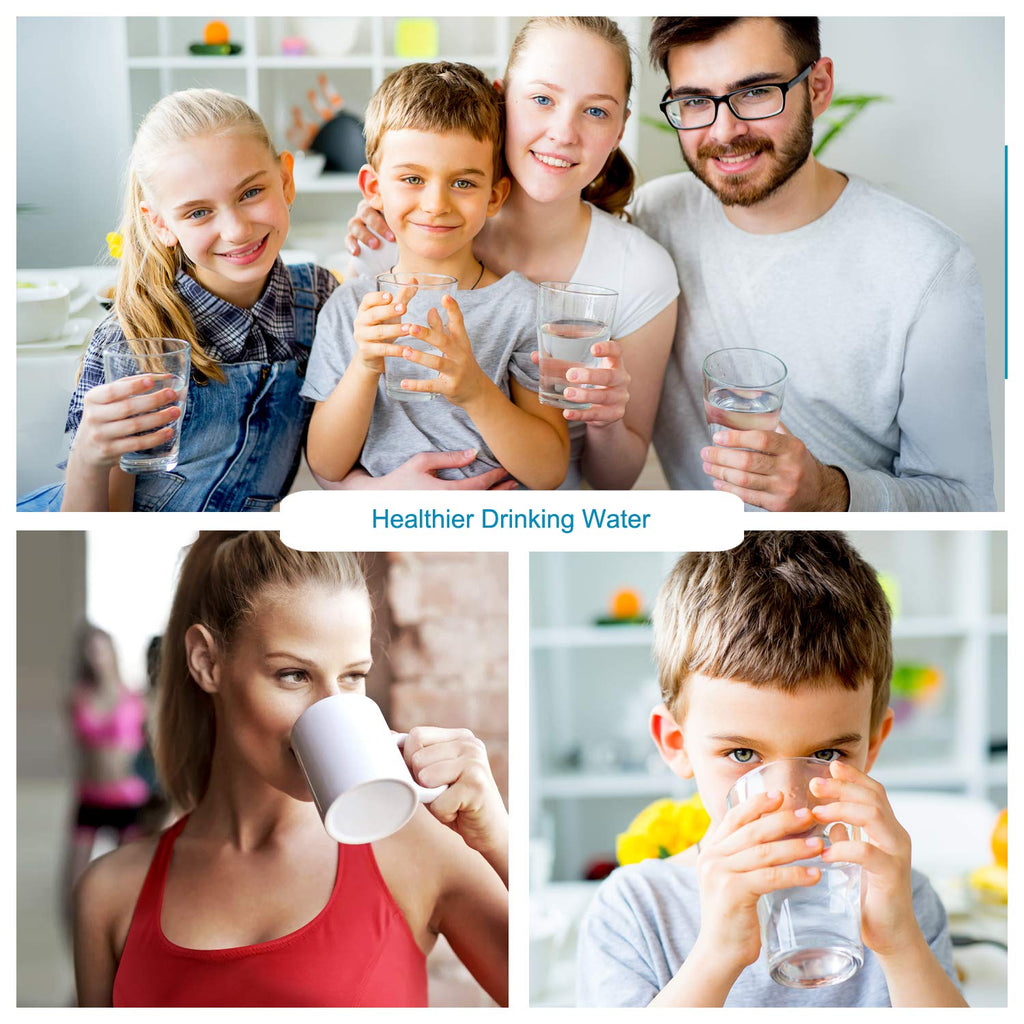 Countertop Water Filter R1776