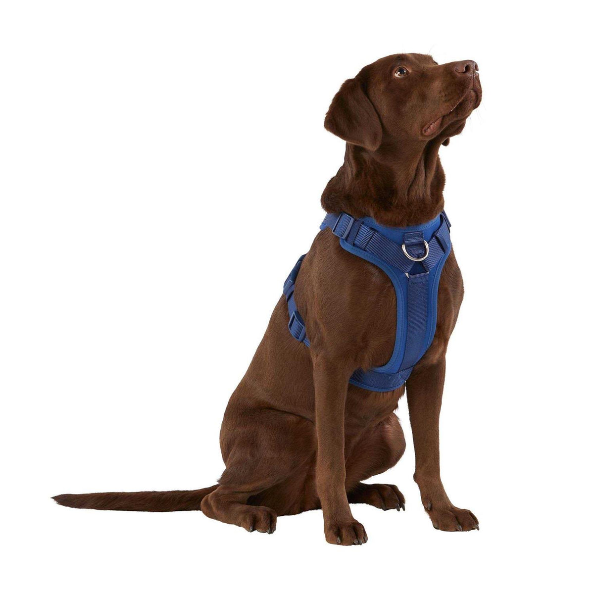 Neoprene Dog Harness J17990